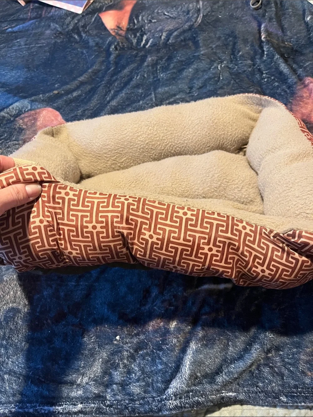 Luxury Small Pet Bed in Cream with Brown Trim